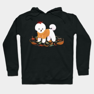 Autumnal Bichon Hoodie